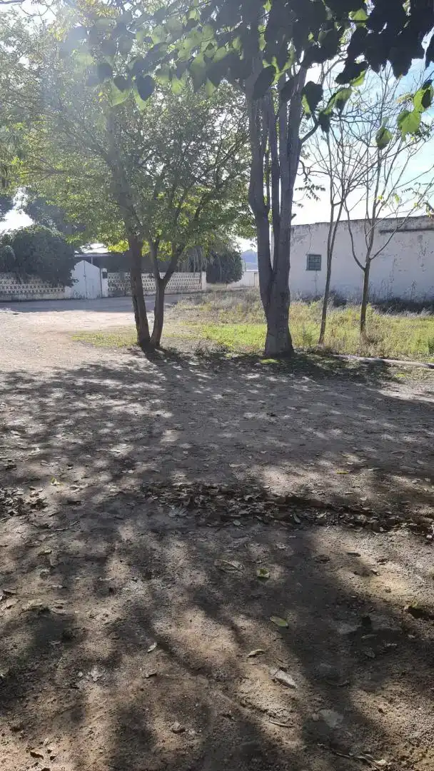 Finca rústica en  Paraje Casas de Menor 67 - Foto 3