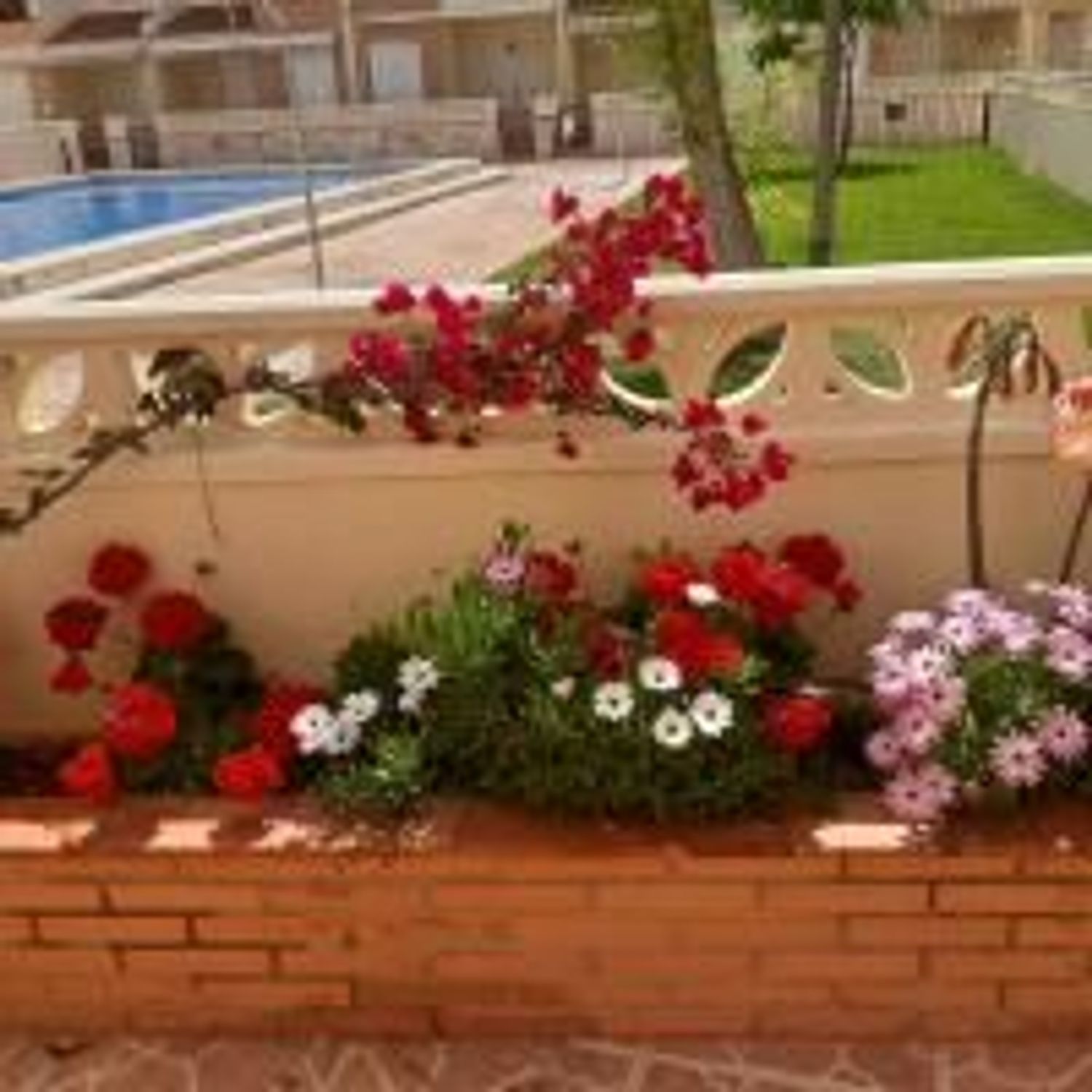 Chalet adosado en Camino Raya Término, 8, La Volta, La Volta - Foto 31