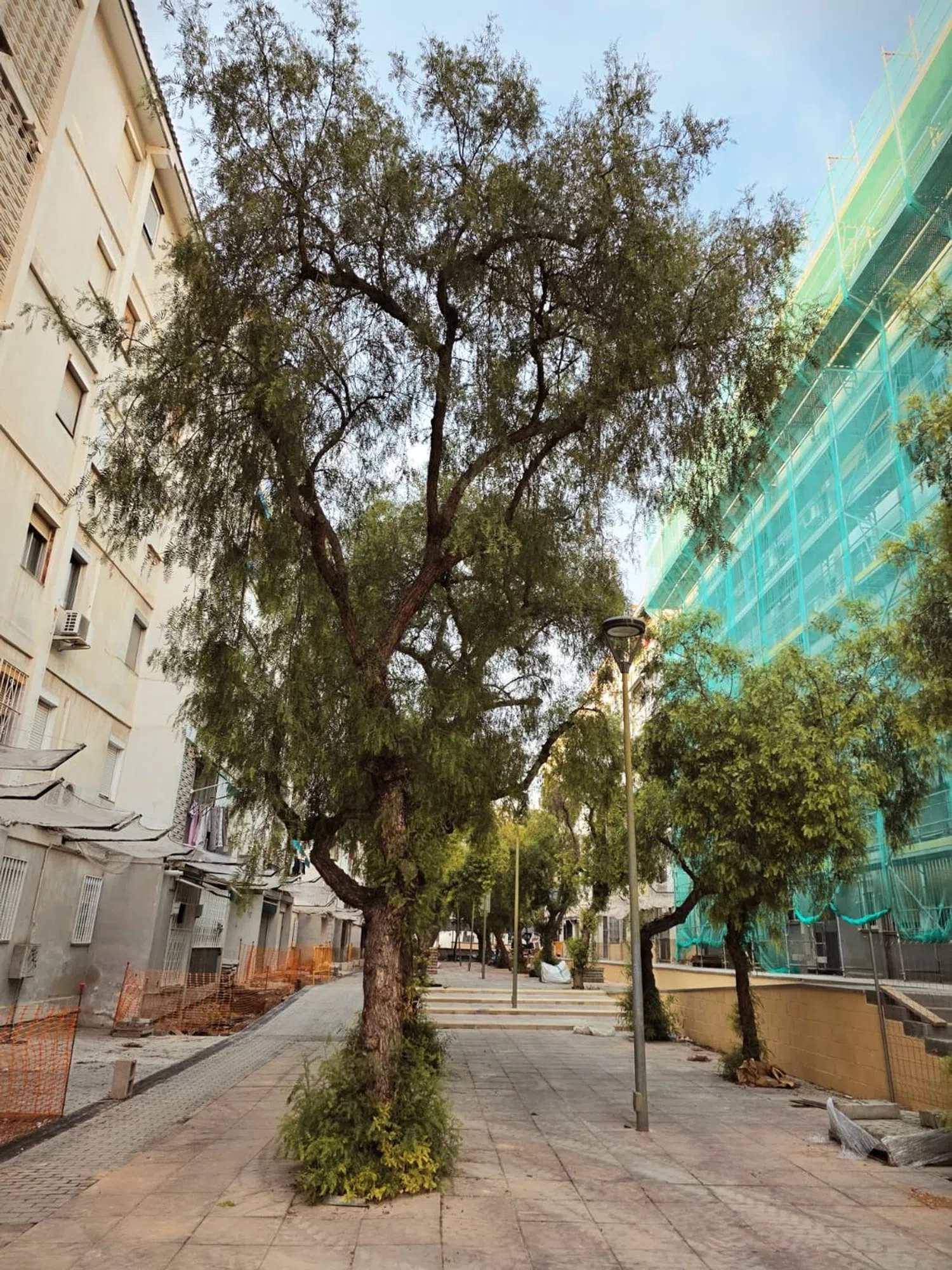 Estudio en calle de Mossèn Andreu, 3 - Foto 37