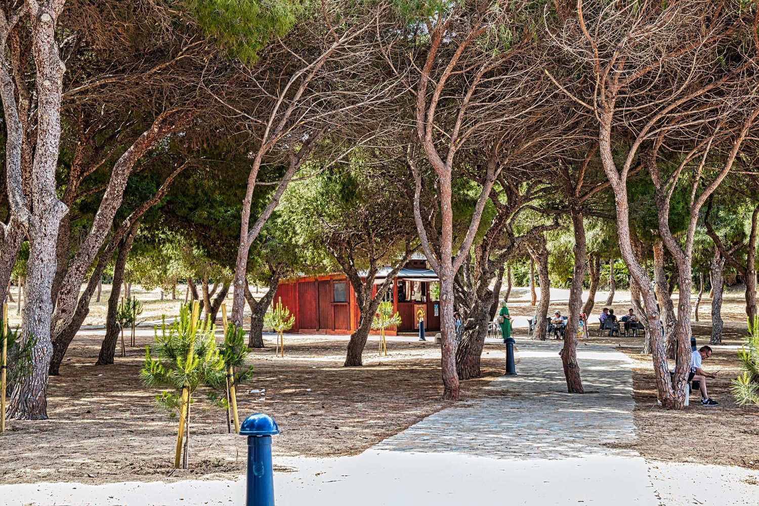 Estudio en Plaza Calnegre, 48, Playa del Galán, Playa del Galán - Foto 27