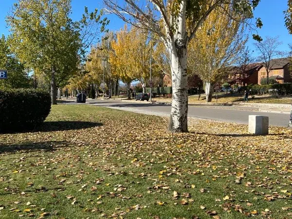 Piso en calle Ciudadela, 8 - Foto 5