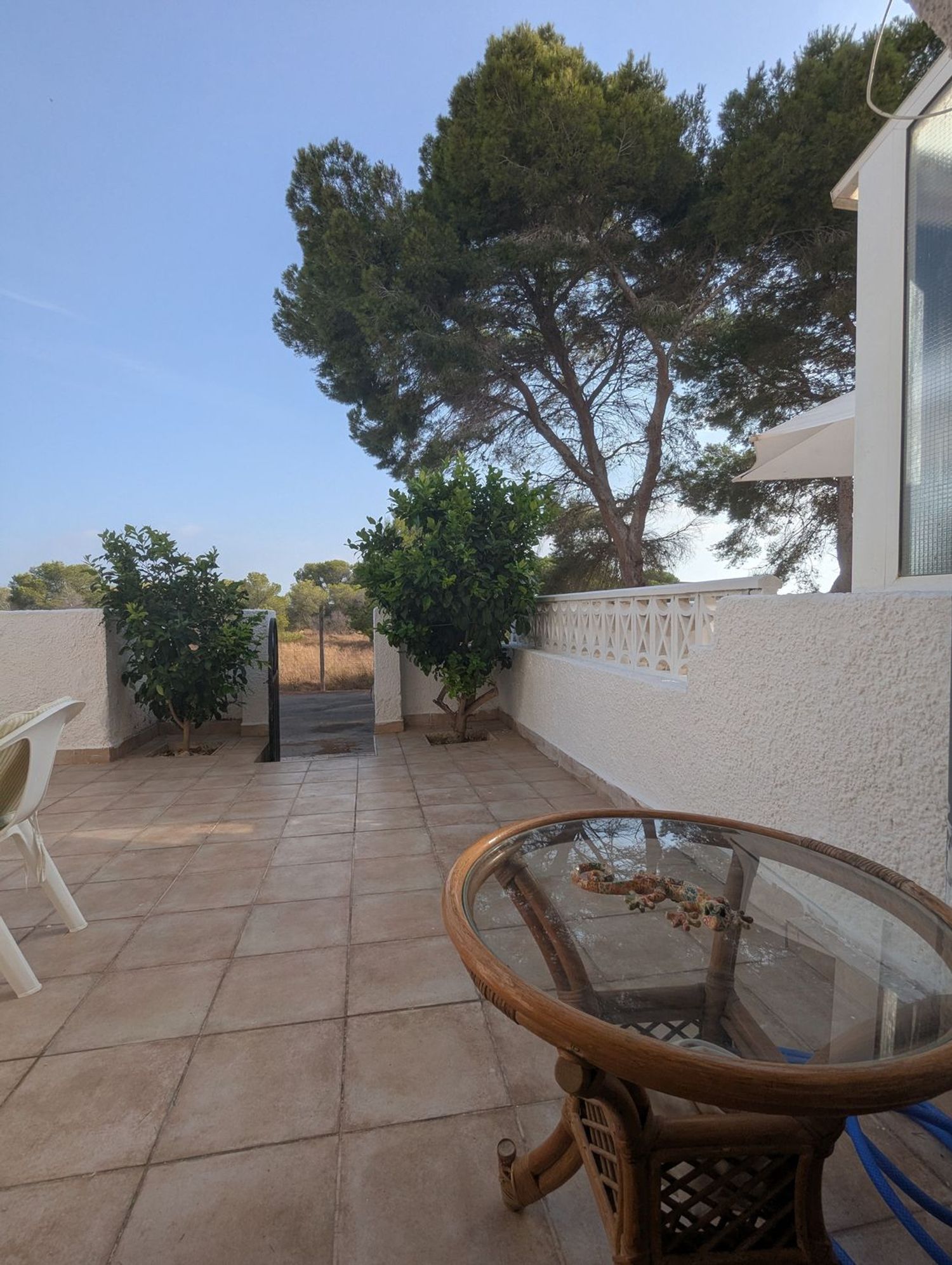 Chalet adosado en Calle Murillo, 171, La Siesta - El Salado - Torreta - Foto 15