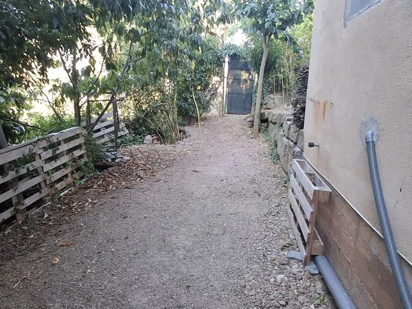 Estudio en Avenida de Catalunya - Foto 1