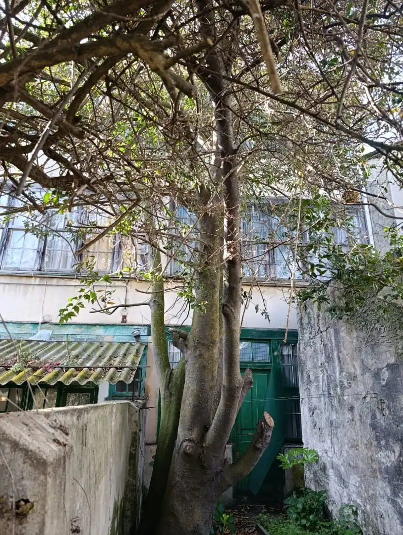 Casa adosada en  Rúa da Trindade 24 - Foto 12