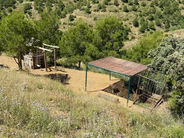 Casa rural en Rambla del acebuchal s/n - Foto 11