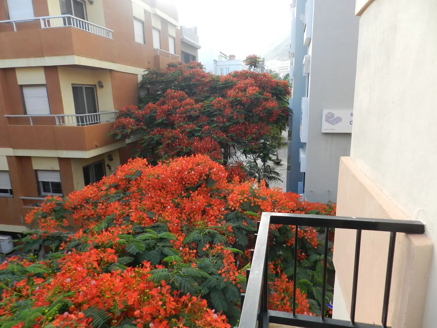 Piso en calle Sabino Berthelot, 30 - Foto 15