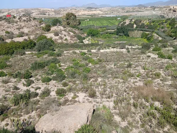 Cortijo en Barriada las Cunas s/n - Foto 13