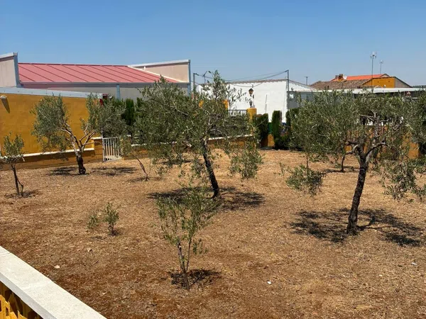Casa rural en Calle Paleras, 1 - Foto 2