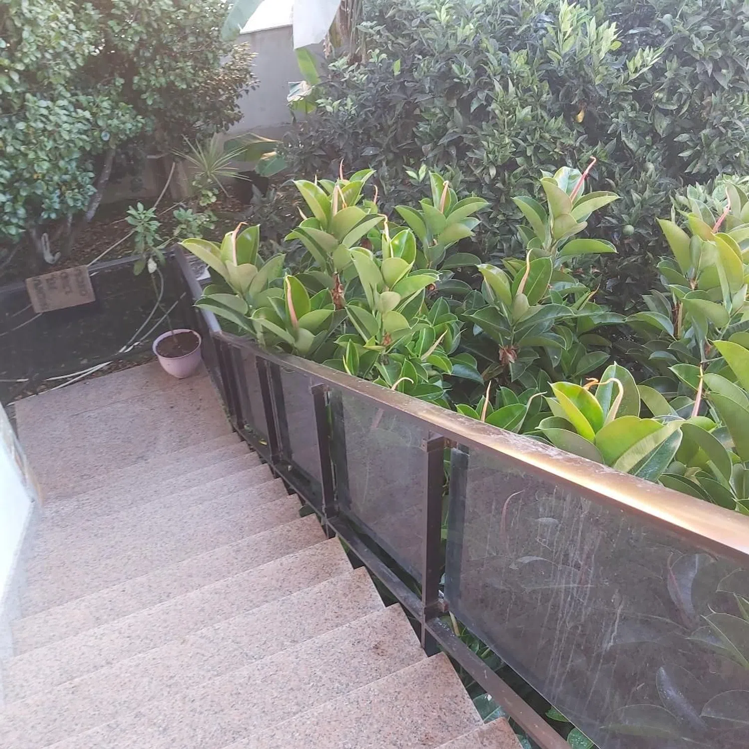 Casa independiente en calle Cacheno, 51 - Foto 3