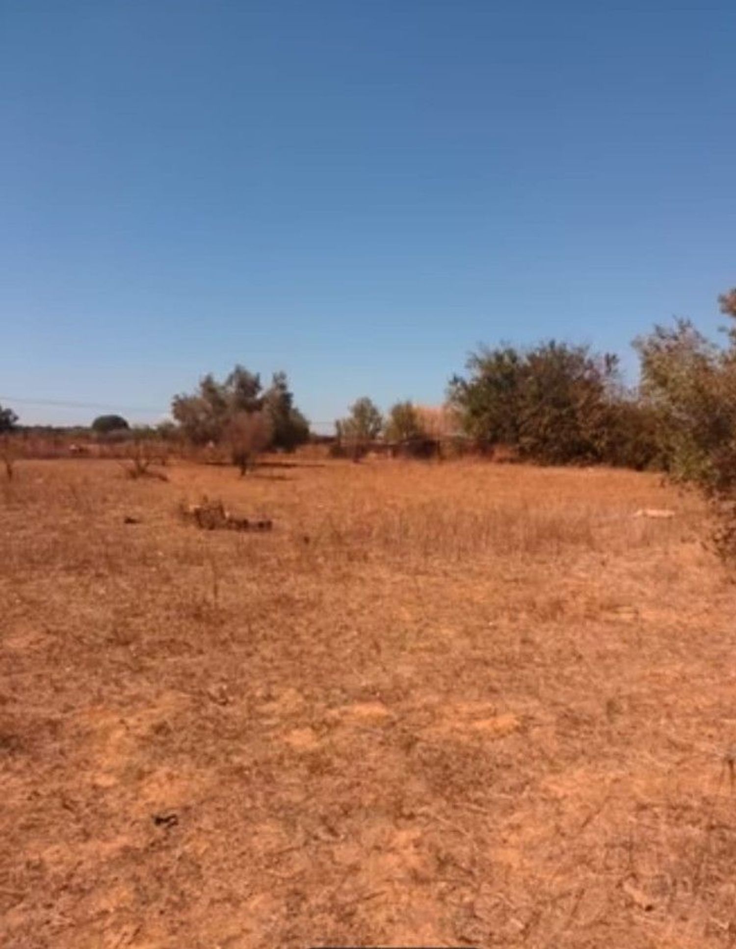 Finca rústica en Ca-3109 s/n - Foto 21