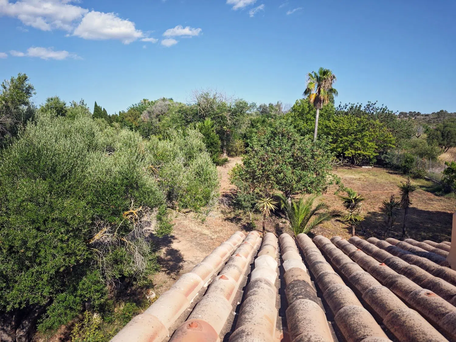 Casa independiente en Diseminado 8609- Sant Jordi, 8 - Foto 15