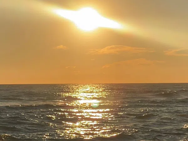 Piso en calle dels Tellinaires, 18 - Foto 19