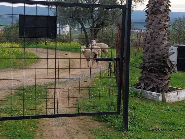 Casa rural en Polígono 19, 69 Parcela 69 - Foto 29