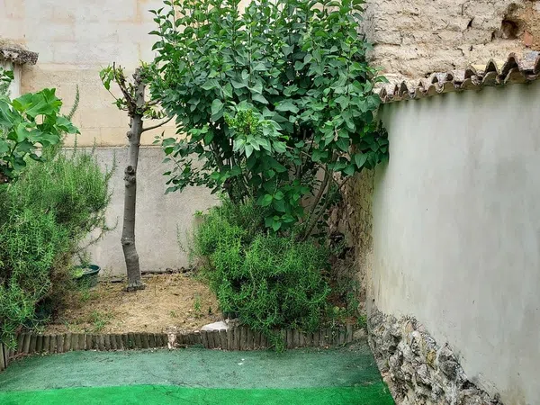 Casa de pueblo en Sol, 13 - Foto 11