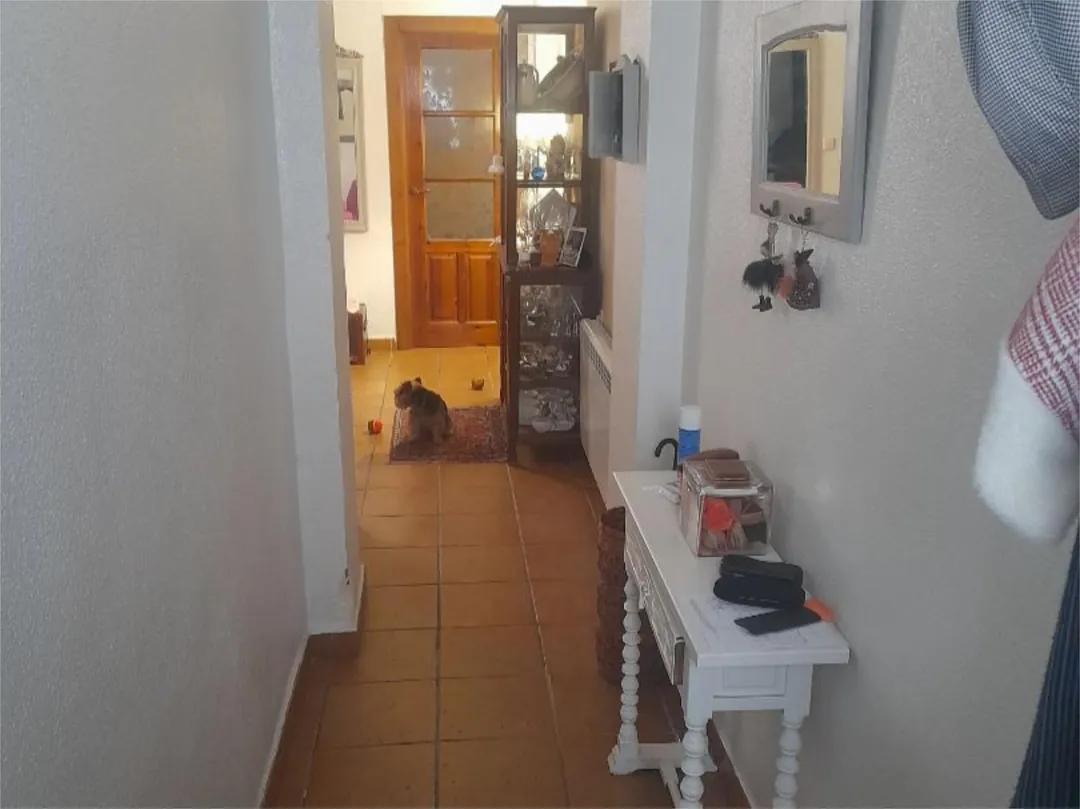 Piso en  Avenida de Juan Carlos I 20 - Foto 16