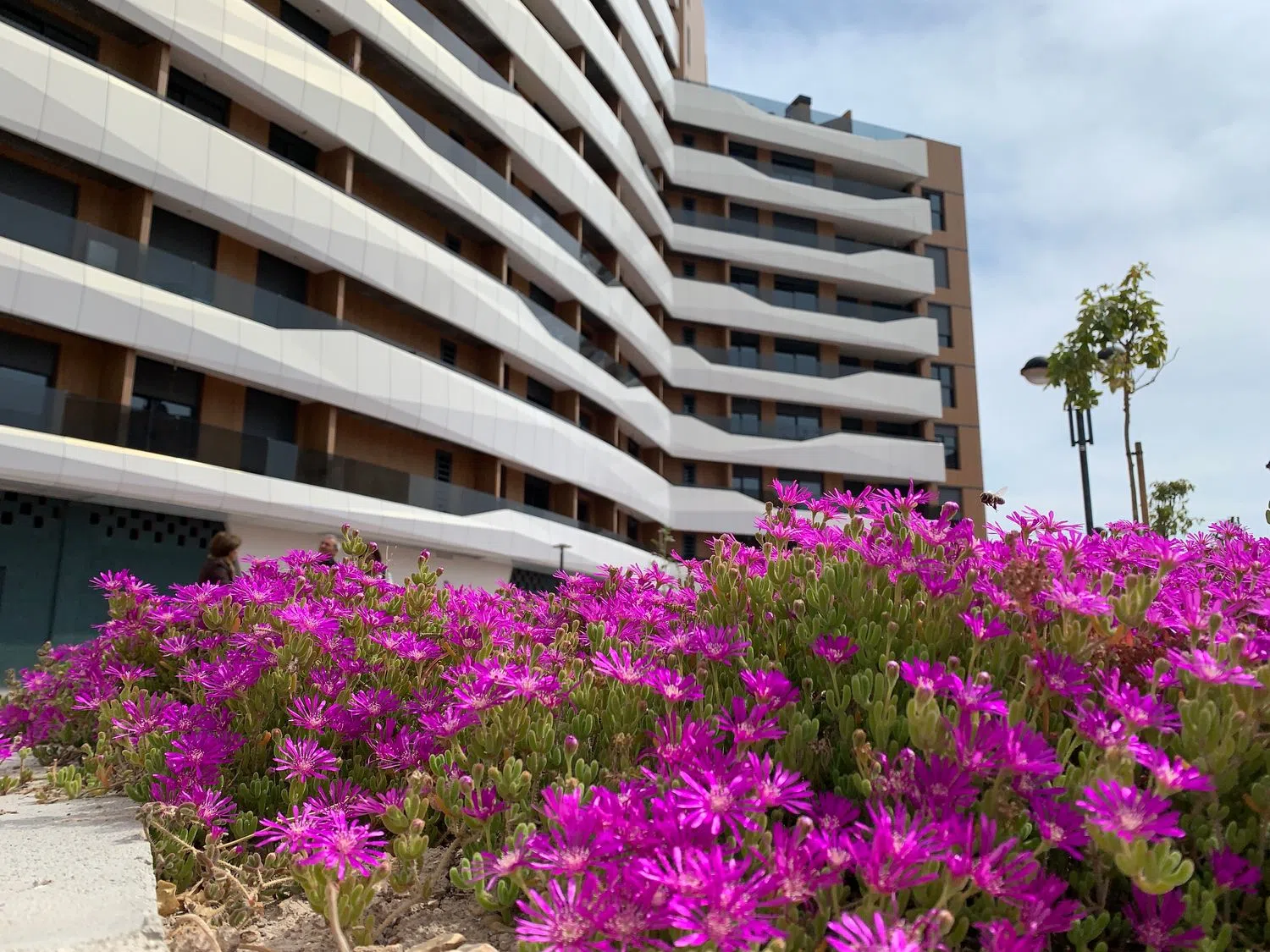 Piso en avenida Academia de Infantería, 28