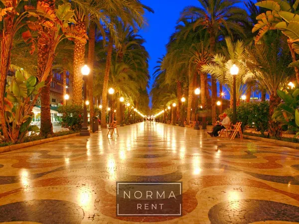 Piso en Avenida de Ramón y Cajal, 1, Centro Tradicional - Foto 4
