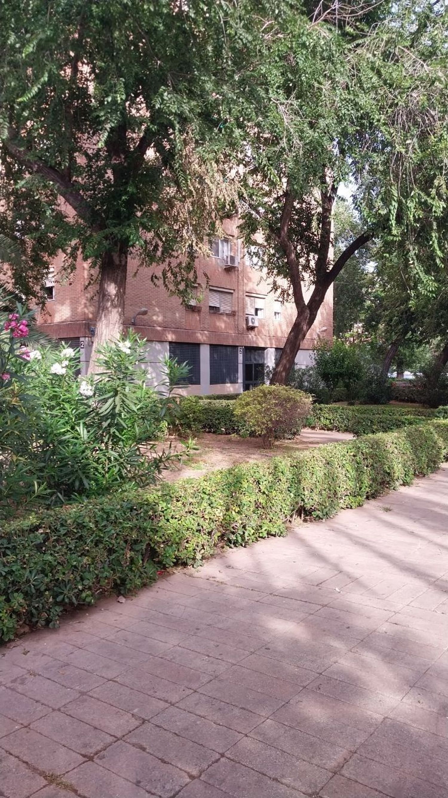 Piso en Plaza Poeta Badenes, 2, Na Rovella - Foto 27