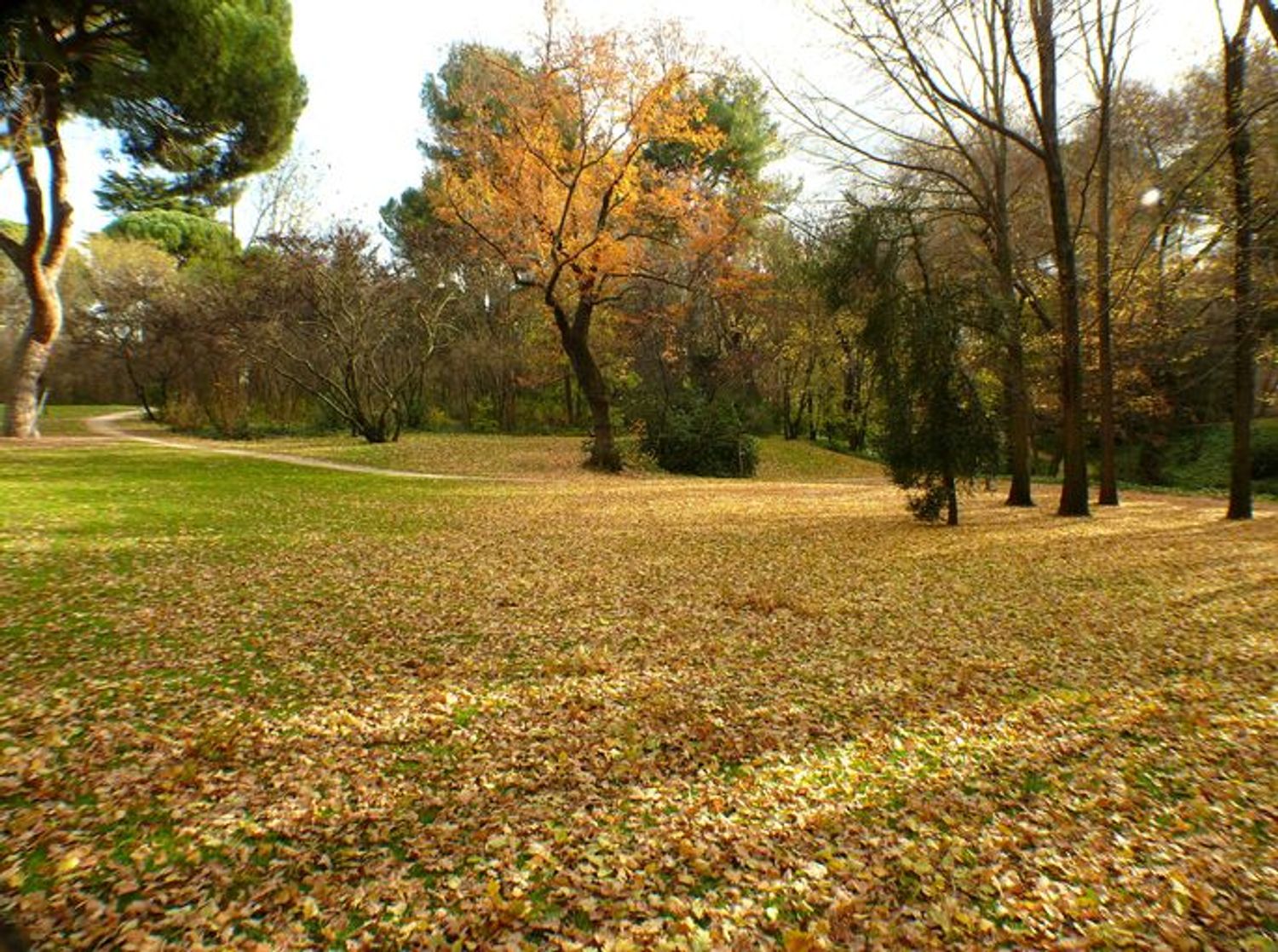 Piso en calle del Maestro Ángel Llorca, 5 - Foto 2