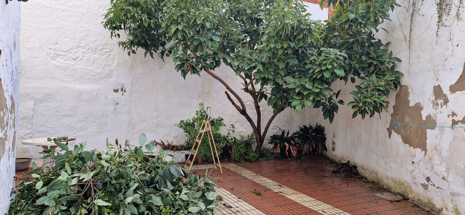 Casa de pueblo en Calle Mondéjar, 29 - Foto 1