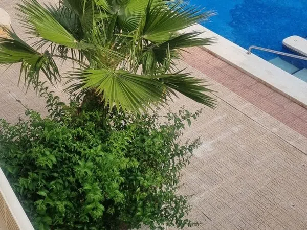 Piso en Pueblo Levante, Pueblo Levante - Foto 10