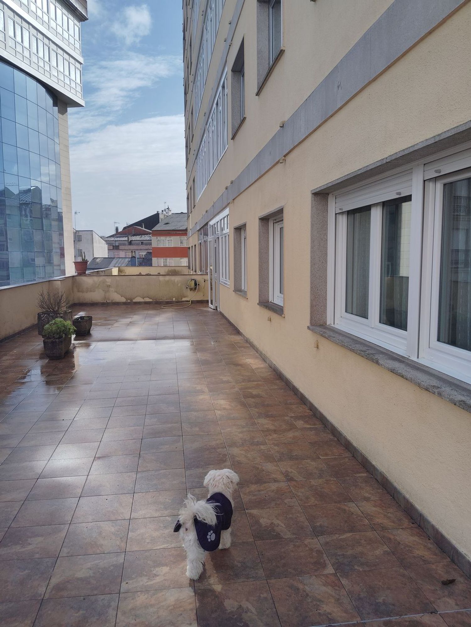 Piso en Calle Serra de Ancares, 68 - Foto 7
