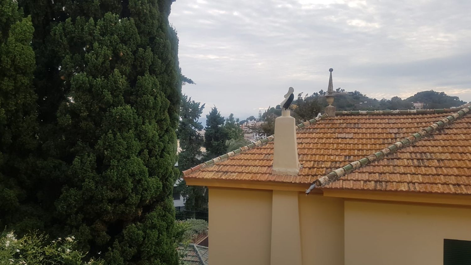 Piso en C/damasco, 3, Limonar - Foto 7