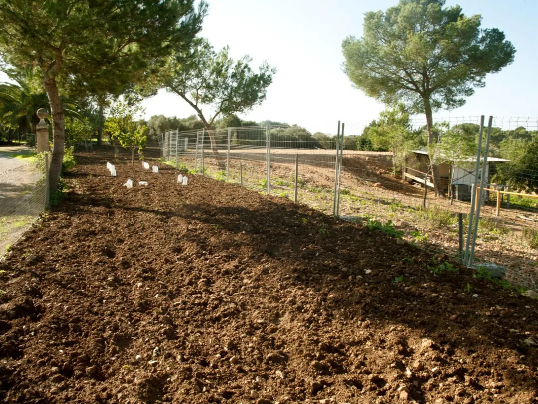 Finca rústica en  Diseminado 8725- Sa Casa Blanca 363 - Foto 13