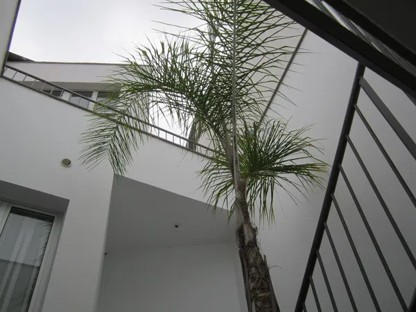 Casa o chalet independiente en la Cornisa s/n - Foto 40