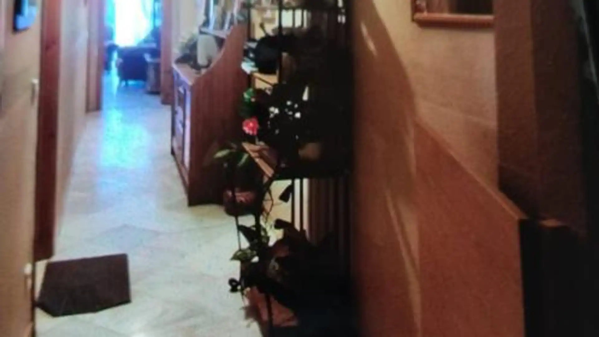 Piso en  A-7053 69 - Foto 10