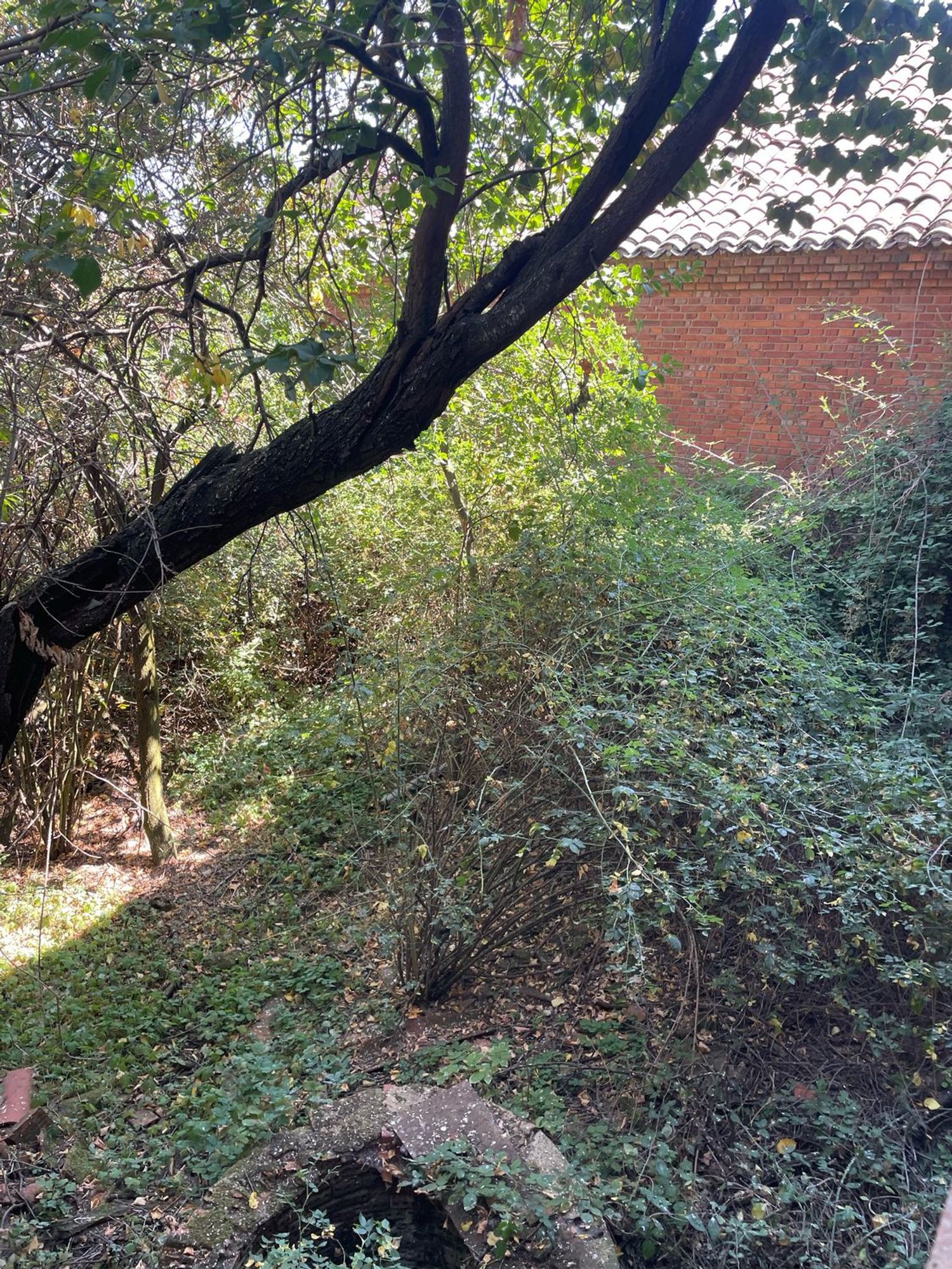 Casa de pueblo en Camino Villadangos, 24 - Foto 38