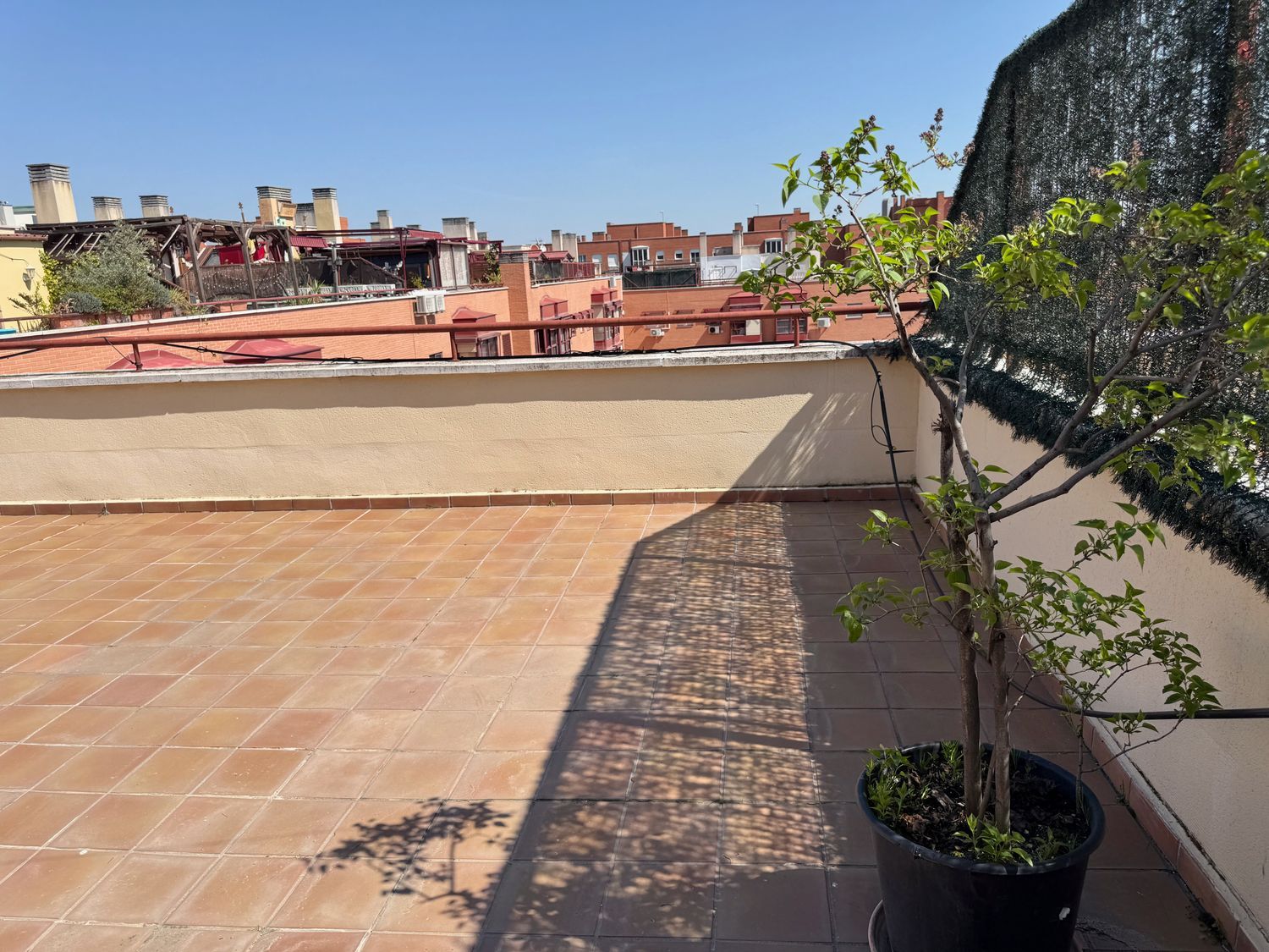 Ático en calle Rutilo, 9 - Foto 15