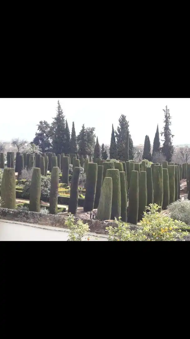 Piso en  Calle San Basilio 19 - Foto 18