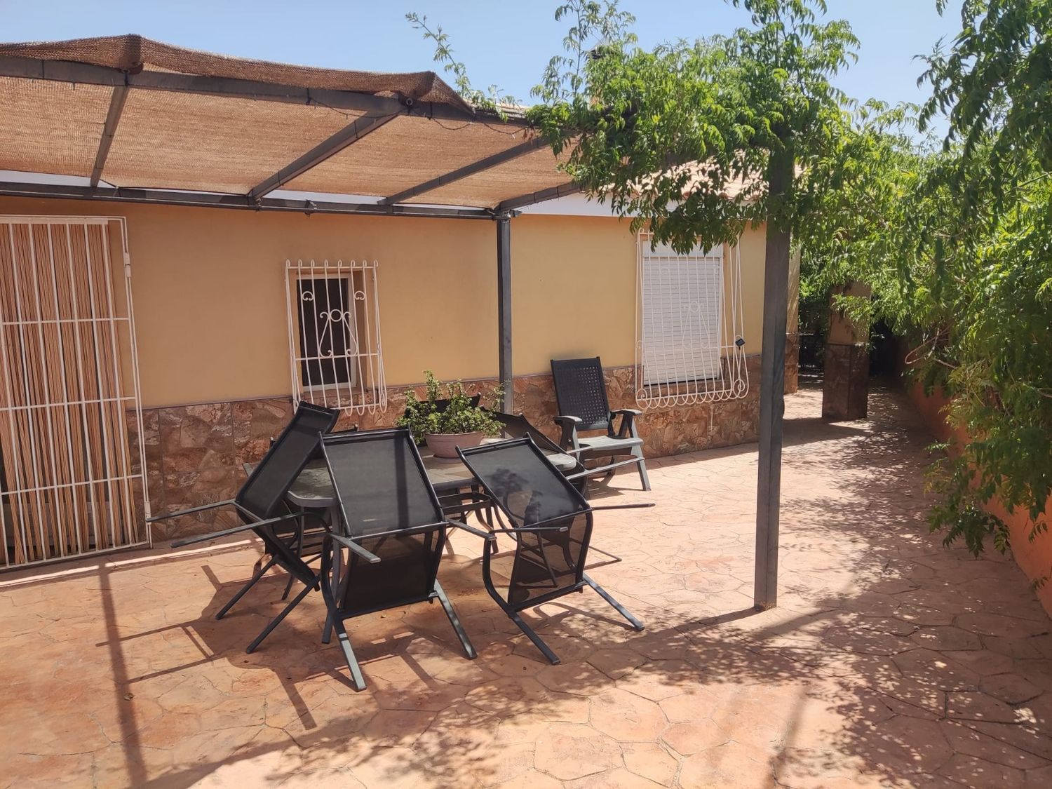 Finca rústica en Camino Viejo de los Valientes, 3, Campotéjar-Los Valientes, Campotéjar-Los Valientes - Foto 25