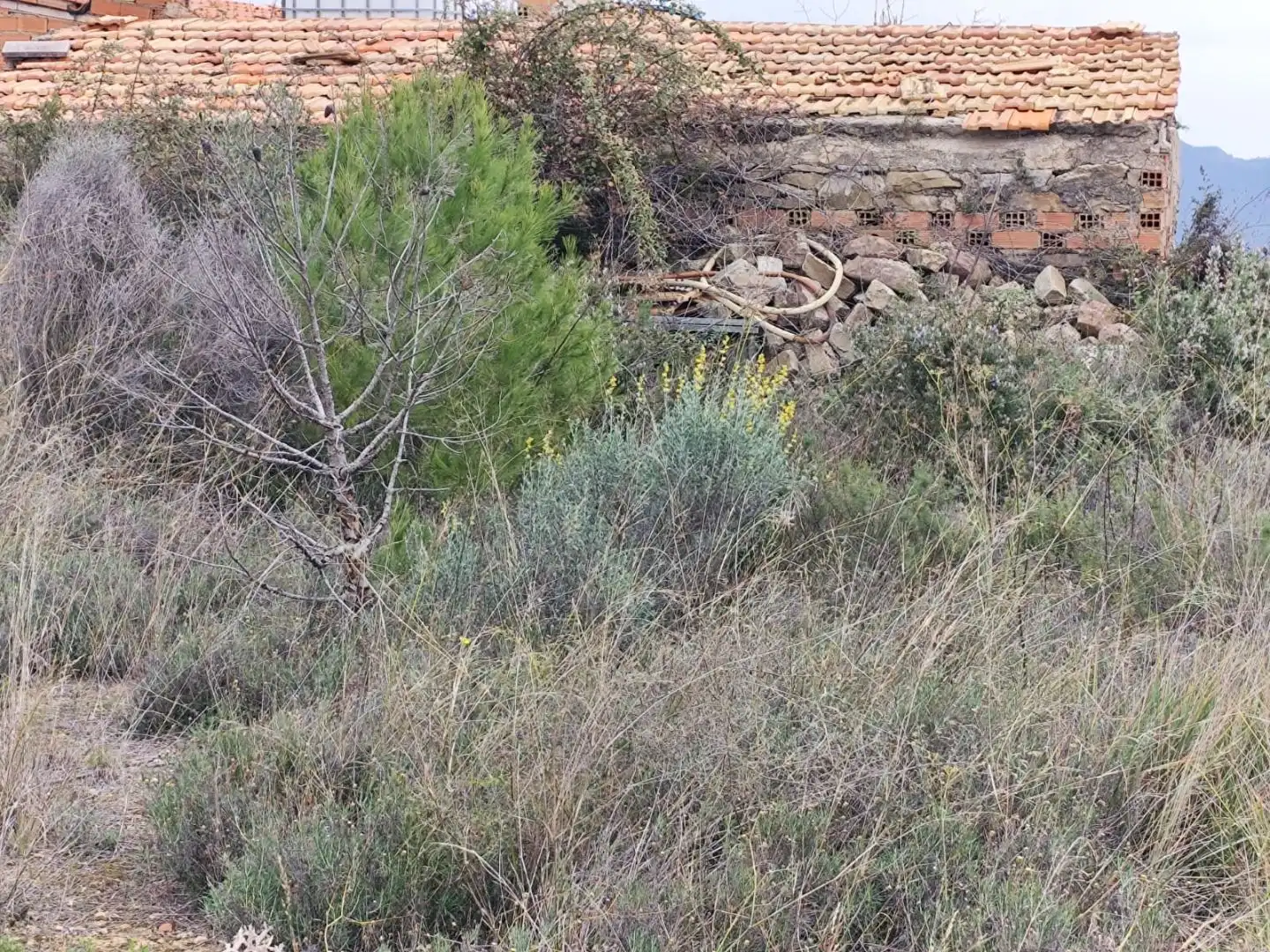 Finca rústica en  Avinguda Saragossa 2 - Foto 11