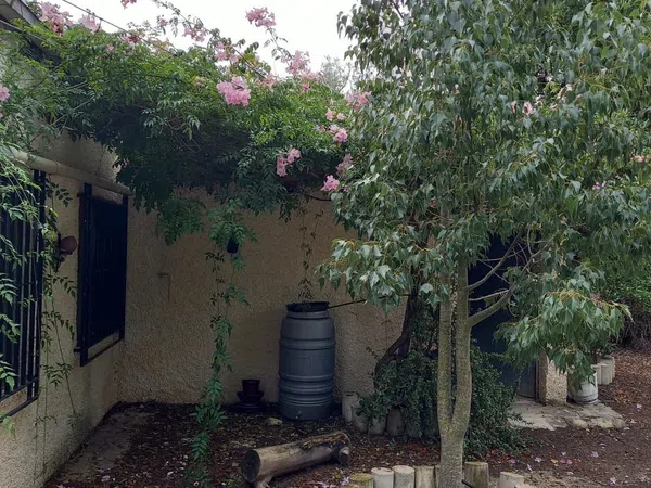 Finca rústica en carretera Puerto del Garruchal s/n - Foto 5