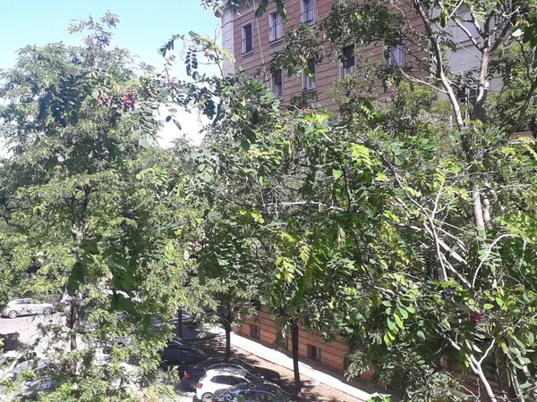 Piso en calle Infante Carlos de Borbón, 16 - Foto 28