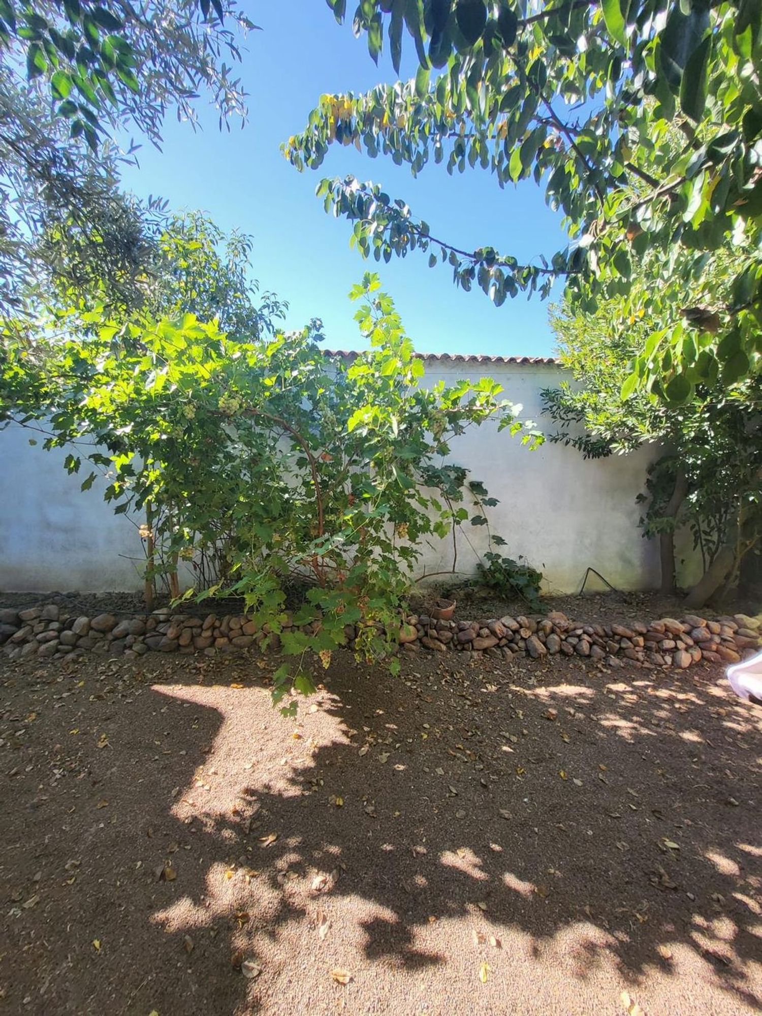 Casa o chalet independiente en Calle Menendez Pelayo, 16 - Foto 27
