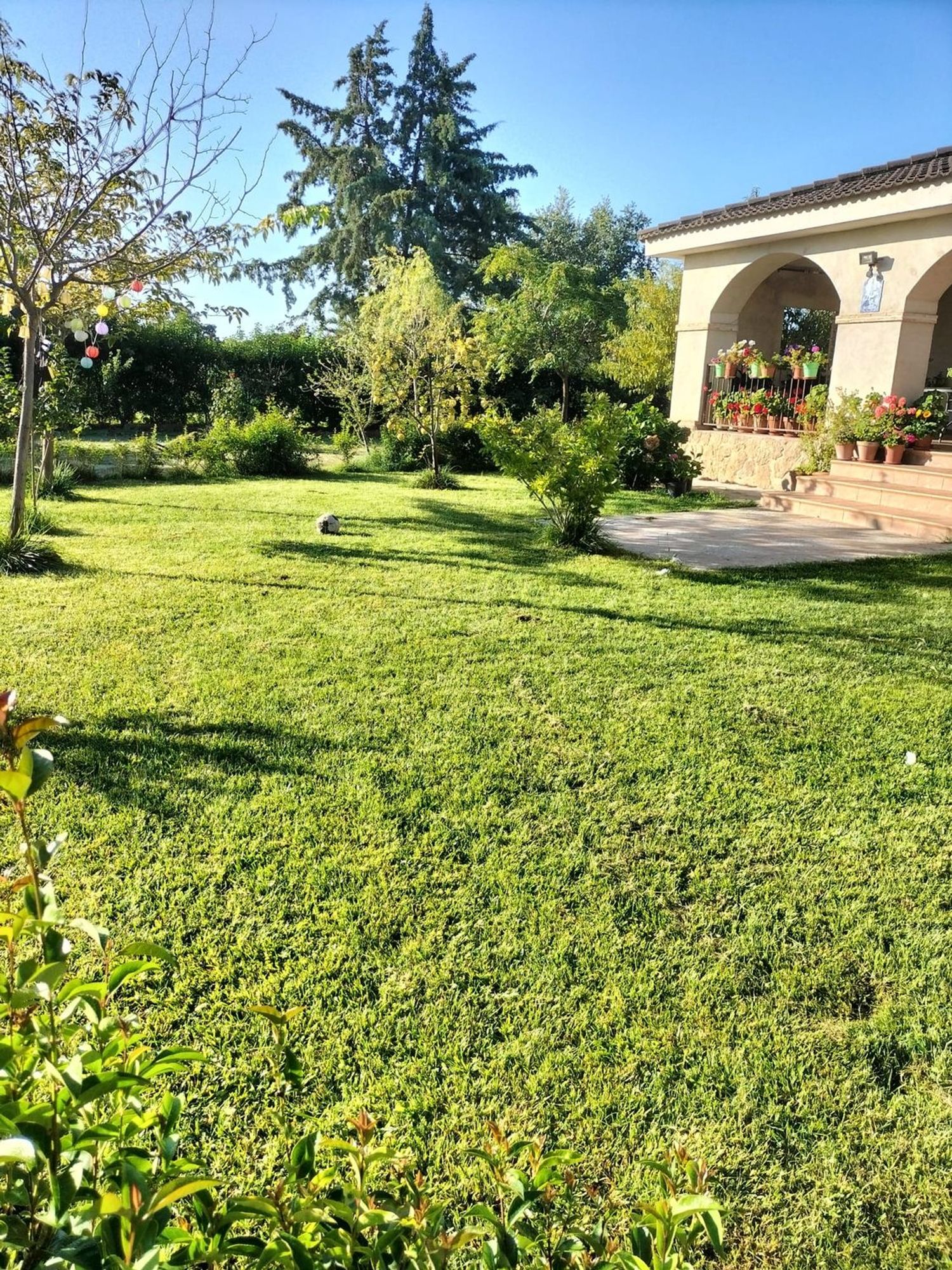 Casa o chalet independiente en Ronda de las Encinas, 115 - Foto 7