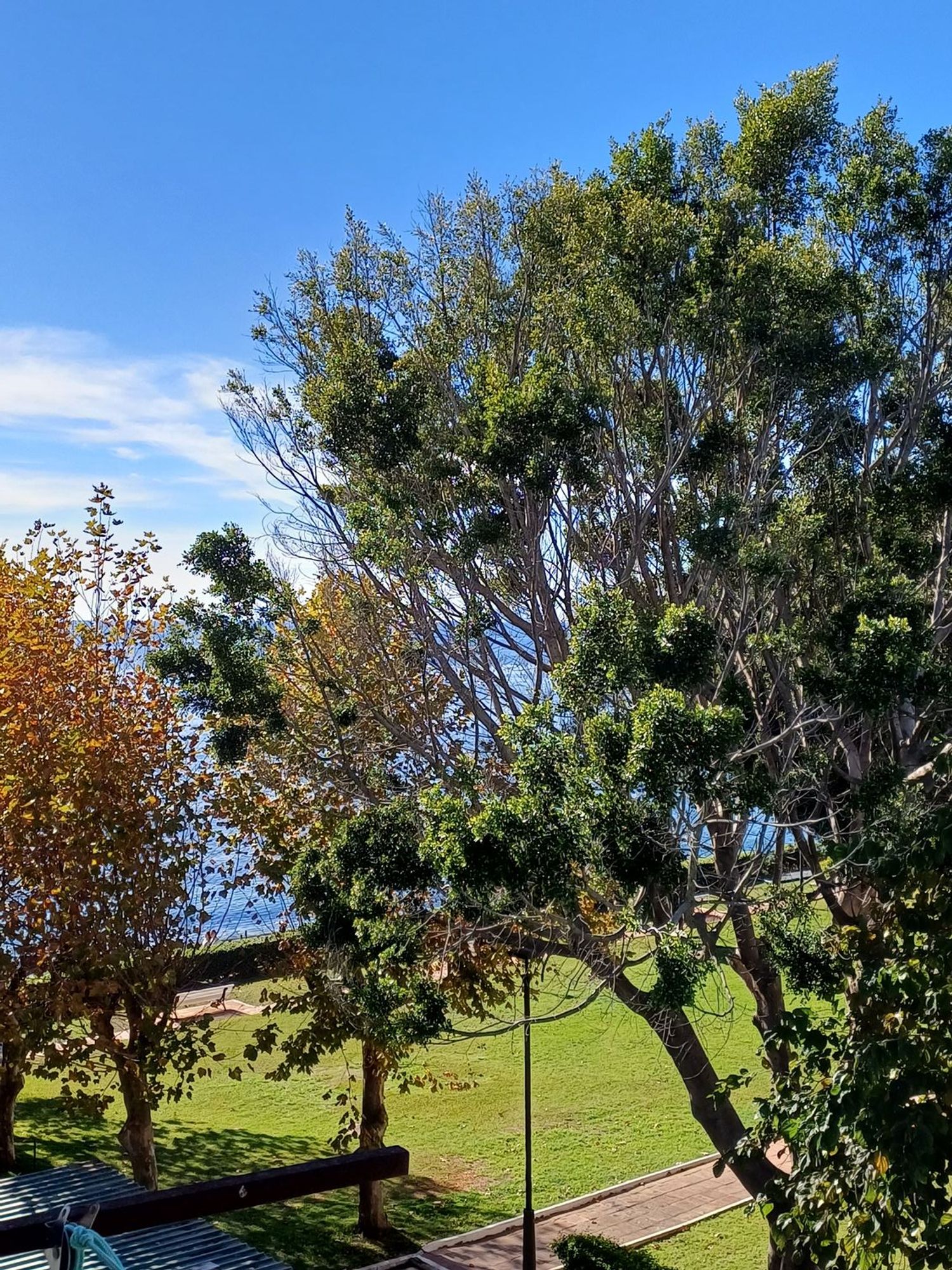 Dúplex en calle del abordaje, 2 - Foto 13