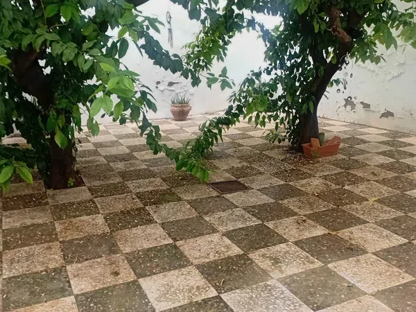 Estudio en Calle Relator, 37, Feria - Foto 1