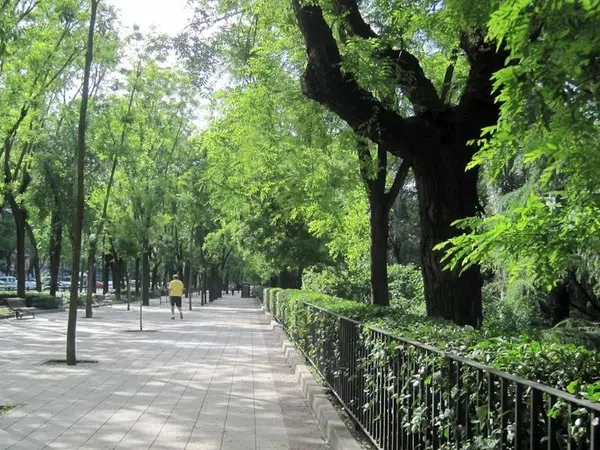 Piso en Paseo del Pintor Rosales - Foto 3