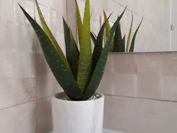 Piso en calle los Nidos, 22 - Foto 10