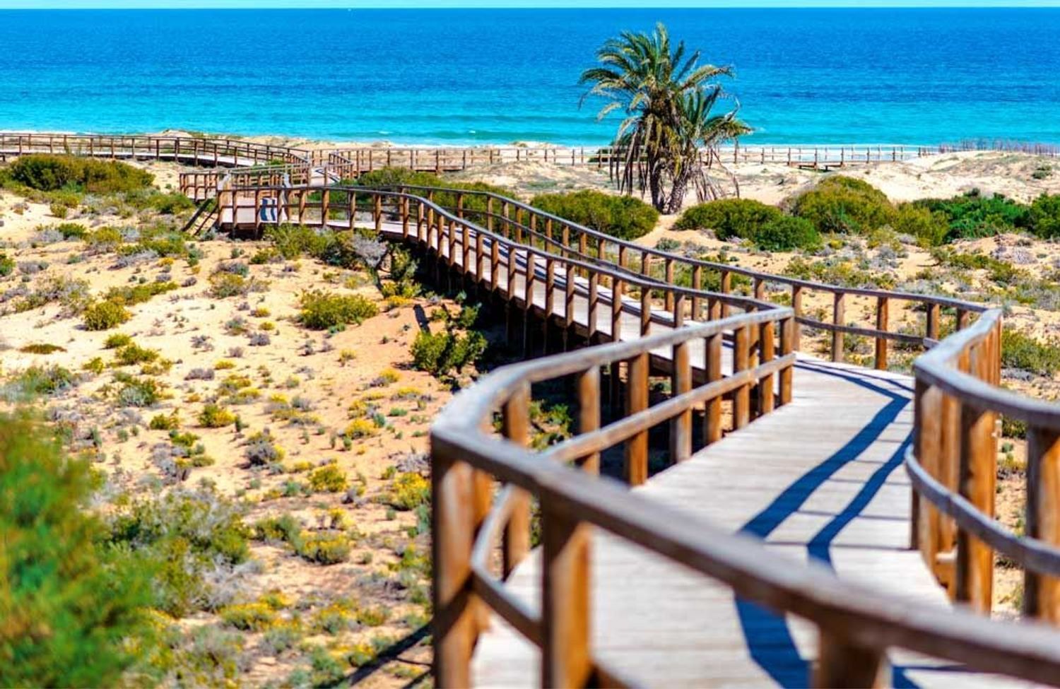 Dúplex en Calle Valladolid, 37, Arenales del Sol, Arenales del Sol - Foto 17