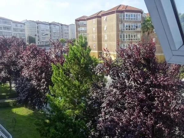 Piso en avenida de Castelao, 36 - Foto 7