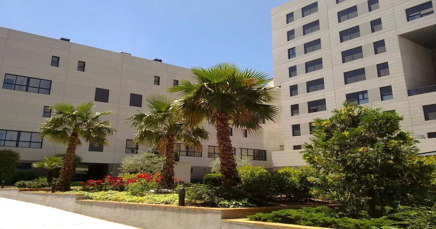 Piso en avenida de la Constitución, 81