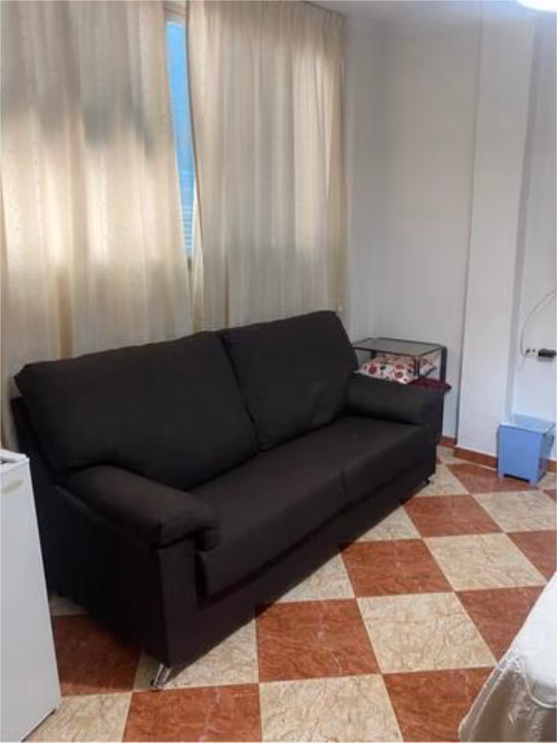 Estudio en Zaidin