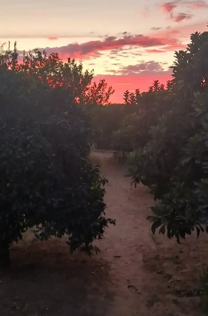 Finca rústica en  Calle Cruz de Montañina 61 - Foto 14