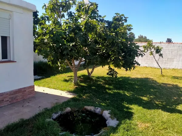 Casa independiente en Hijuela s/n - Foto 2