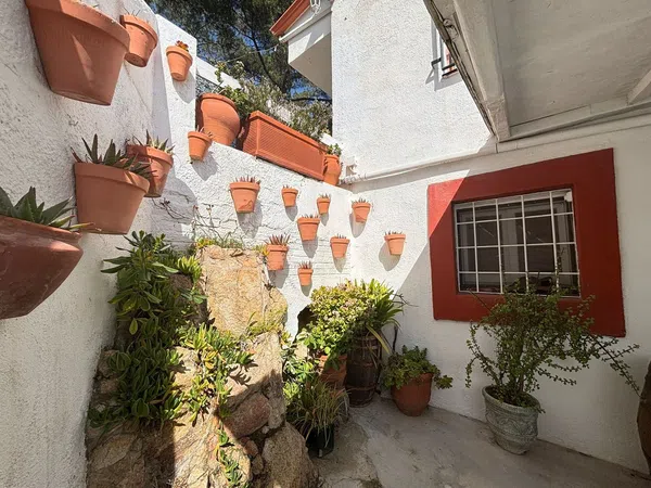 Casa o chalet independiente en Avenida del Pla de Rosell, 34 - Foto 11